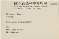 登錄號:A00003838藏品圖，第2張