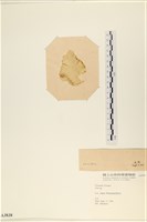 登錄號:A00003838藏品圖，第3張