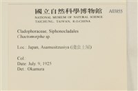 登錄號:A00003855藏品圖，第2張