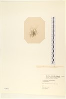 登錄號:A00003855藏品圖，第3張