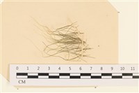 登錄號:A00003855藏品圖，第1張