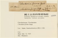 登錄號:A00003856藏品圖，第2張