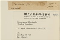 登錄號:A00003857藏品圖，第2張