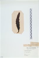 登錄號:A00003860藏品圖，第3張