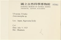 登錄號:A00003861藏品圖，第2張