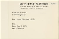 登錄號:A00003863藏品圖，第2張