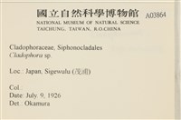 登錄號:A00003864藏品圖，第2張
