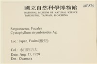 登錄號:A00003874藏品圖，第2張