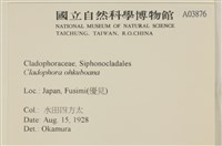 登錄號:A00003876藏品圖，第2張