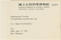 登錄號:A00003878藏品圖，第2張