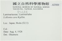 登錄號:A00003909藏品圖，第2張