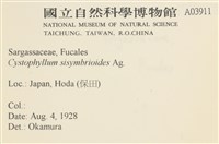 登錄號:A00003911藏品圖，第2張