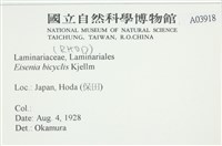 登錄號:A00003918藏品圖，第2張