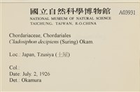 登錄號:A00003931藏品圖，第2張