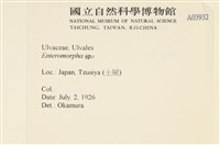 登錄號:A00003932藏品圖，第2張