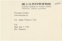 登錄號:A00003933藏品圖，第2張