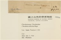 登錄號:A00003936藏品圖，第2張