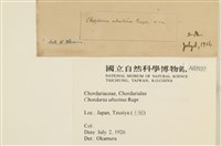登錄號:A00003937藏品圖，第2張