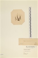 登錄號:A00003937藏品圖，第3張
