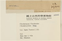 登錄號:A00003940藏品圖，第2張