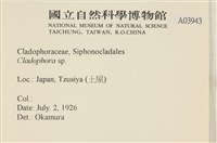 登錄號:A00003943藏品圖，第2張