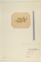 登錄號:A00003943藏品圖，第3張
