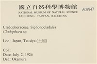登錄號:A00003947藏品圖，第2張