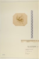 登錄號:A00003947藏品圖，第3張