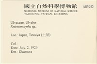登錄號:A00003952藏品圖，第2張