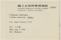 登錄號:A00003961藏品圖，第2張