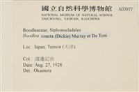 登錄號:A00003977藏品圖，第2張