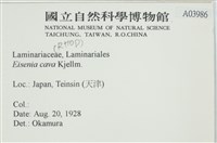 登錄號:A00003986藏品圖，第2張