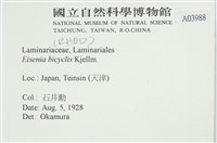 登錄號:A00003988藏品圖，第2張