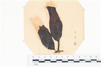 登錄號:A00003992藏品圖，第1張