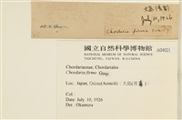 登錄號:A00004021藏品圖，第2張