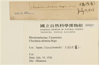 登錄號:A00004027藏品圖，第2張