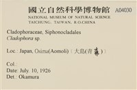 登錄號:A00004030藏品圖，第2張