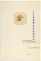 登錄號:A00004030藏品圖，第3張