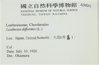 登錄號:A00004041藏品圖，第2張