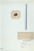 登錄號:A00004041藏品圖，第3張