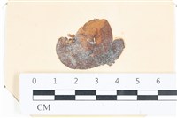 登錄號:A00004041藏品圖，第1張