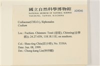 登錄號:A00004046藏品圖，第2張