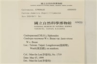 登錄號:A00004050藏品圖，第2張