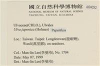 登錄號:A00004052藏品圖，第2張