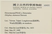 厚緣藻藏品圖，第2張