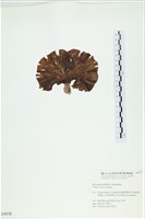 登錄號:A00004058藏品圖，第3張