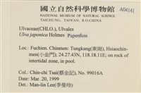 登錄號:A00004141藏品圖，第2張