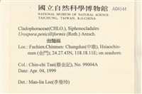 登錄號:A00004144藏品圖，第2張