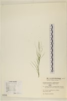 登錄號:A00004144藏品圖，第1張