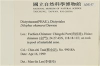 厚緣藻藏品圖，第2張